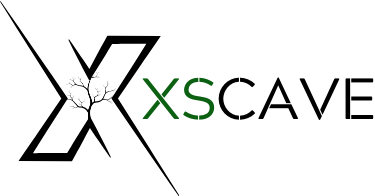 XSCAVE project logo